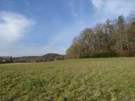 Terrain Thonac 19000 m2 — photo 2