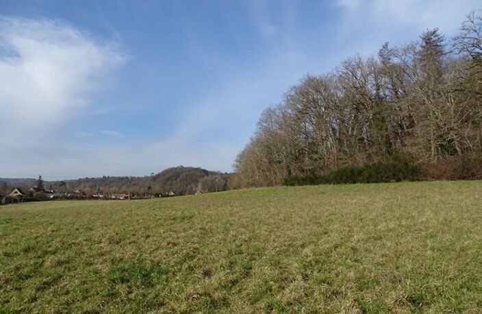 Terrain Thonac 19000 m2 — photo 2