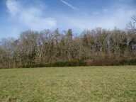 Terrain Thonac 19000 m2 — photo 3