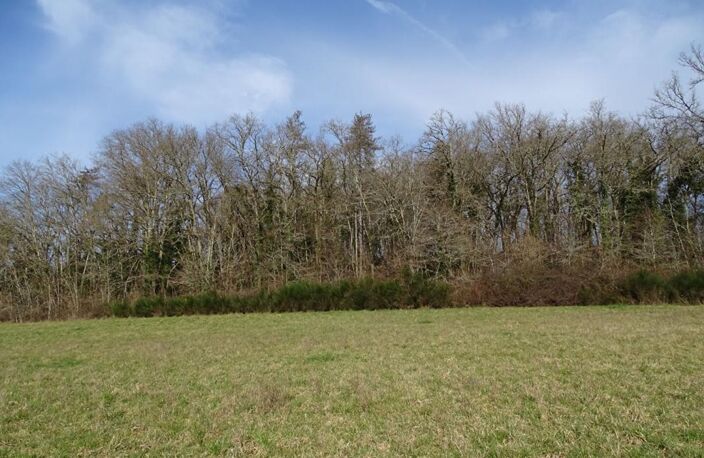 Terrain Thonac 19000 m2 — photo 3