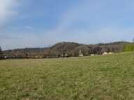 Terrain Thonac 19000 m2 — photo 4