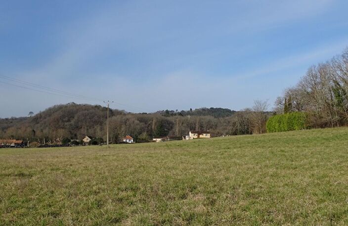 Terrain Thonac 19000 m2 — photo 5