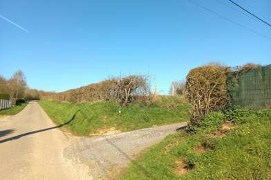 Terrain  41986 €