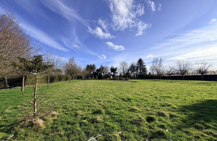 Lotissement - Terrain à lotir - 3819m² - Anceaumeville — photo 3