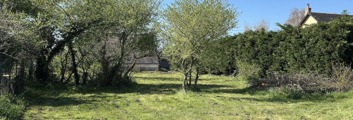 Terrain  6500 m² à vendre à Loire-Authion (49630)