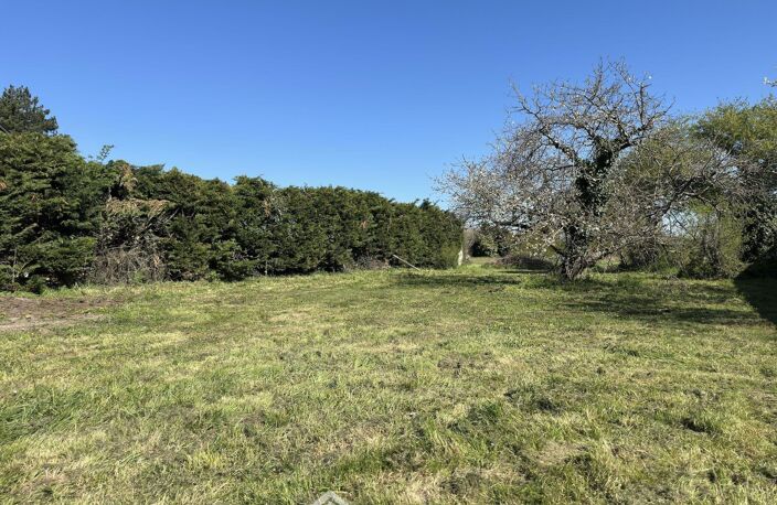 Terrain à bâtir - 734m² - Mazé-Milon — photo 5