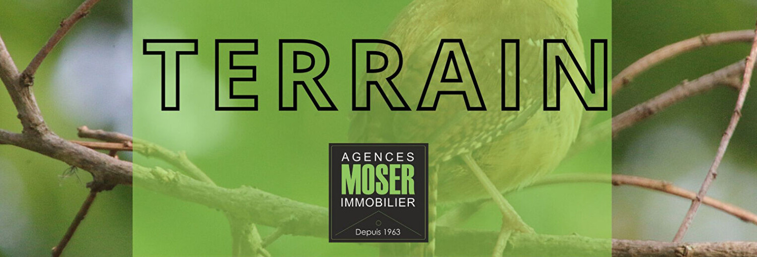 Terrain  7099 m² à vendre à Angresse (40150)