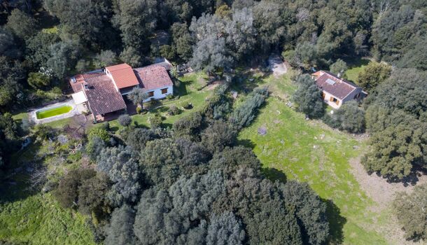 Villa / Maison 9 pièces  à vendre Sartène 20100