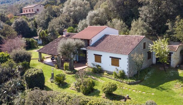 Villa / Maison 9 pièces  à vendre Sartène 20100