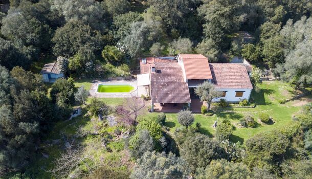 Villa / Maison 9 pièces  à vendre Sartène 20100