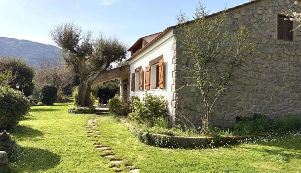 Villa / Maison 9 pièces  à vendre Sartène 20100