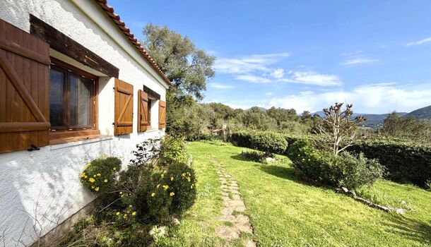 Villa / Maison 9 pièces  à vendre Sartène 20100