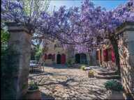 Mas de Maître & Gîte entre Gard et Ardèche — photo 4