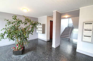 Appartement 3 pièces 795 €