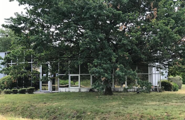 Immobilier Professionnel à vendre Martillac — photo 3