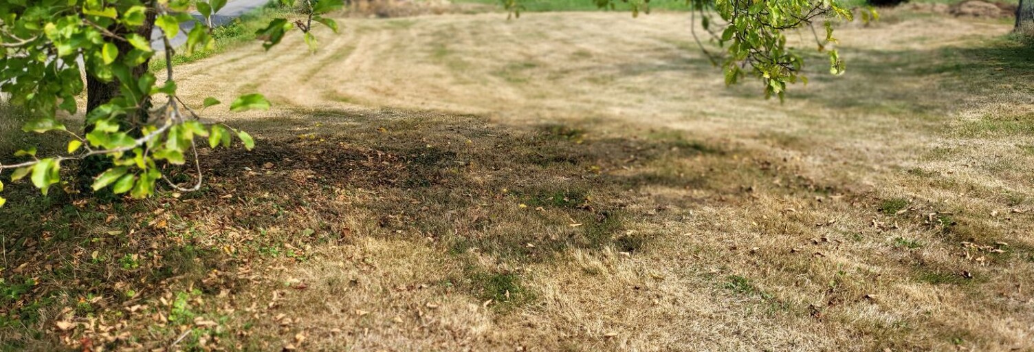 Terrain  653 m² à vendre à Dompierre-sur-Veyle (01240)