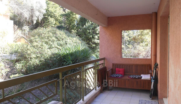 Appartement 1 pièces  à vendre Nice 06100