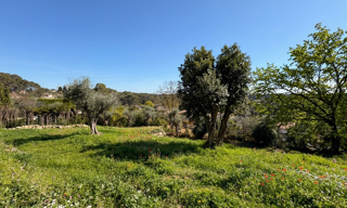 Terrain 1788 m² à construire Roquefort-les-Pins (06330)