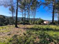 Projet de construction à Pierrefeu-du-Var  — photo 3