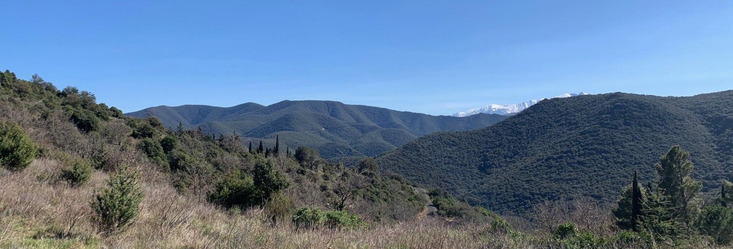 Terrain  3900 m² à vendre à Feilluns (66730)