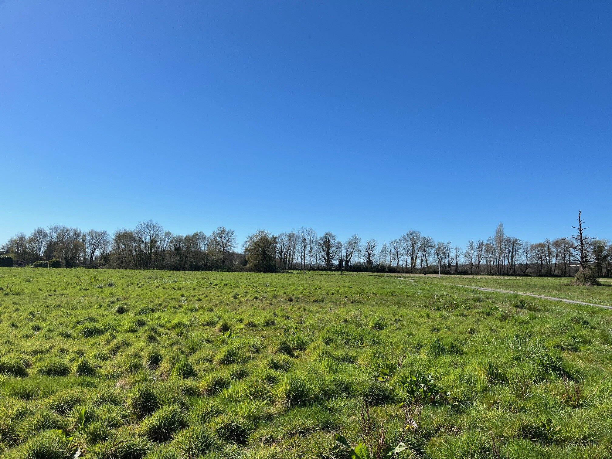 Vente Terrain La Force