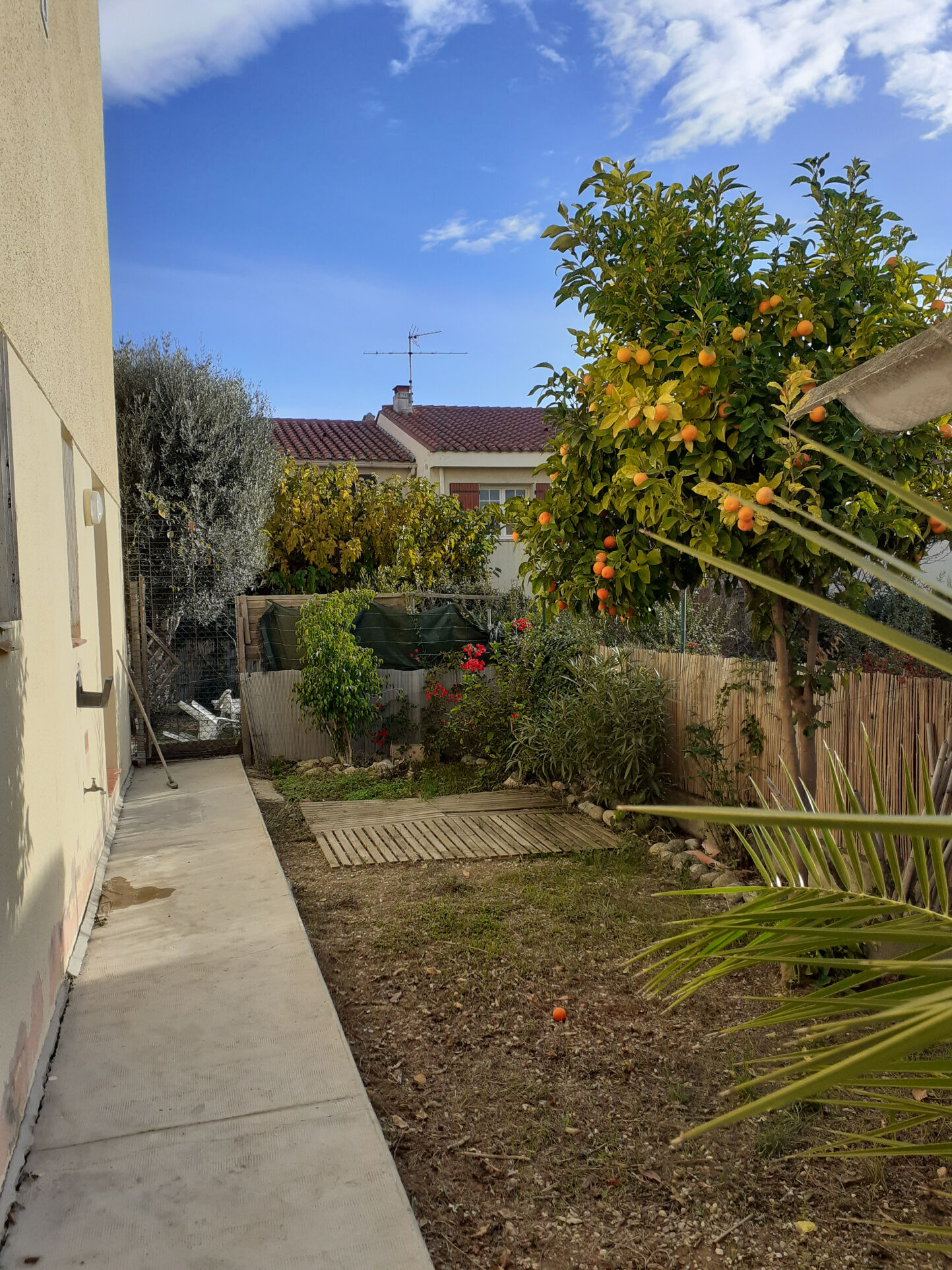 Appartement  T2 à louer Perpignan 66000