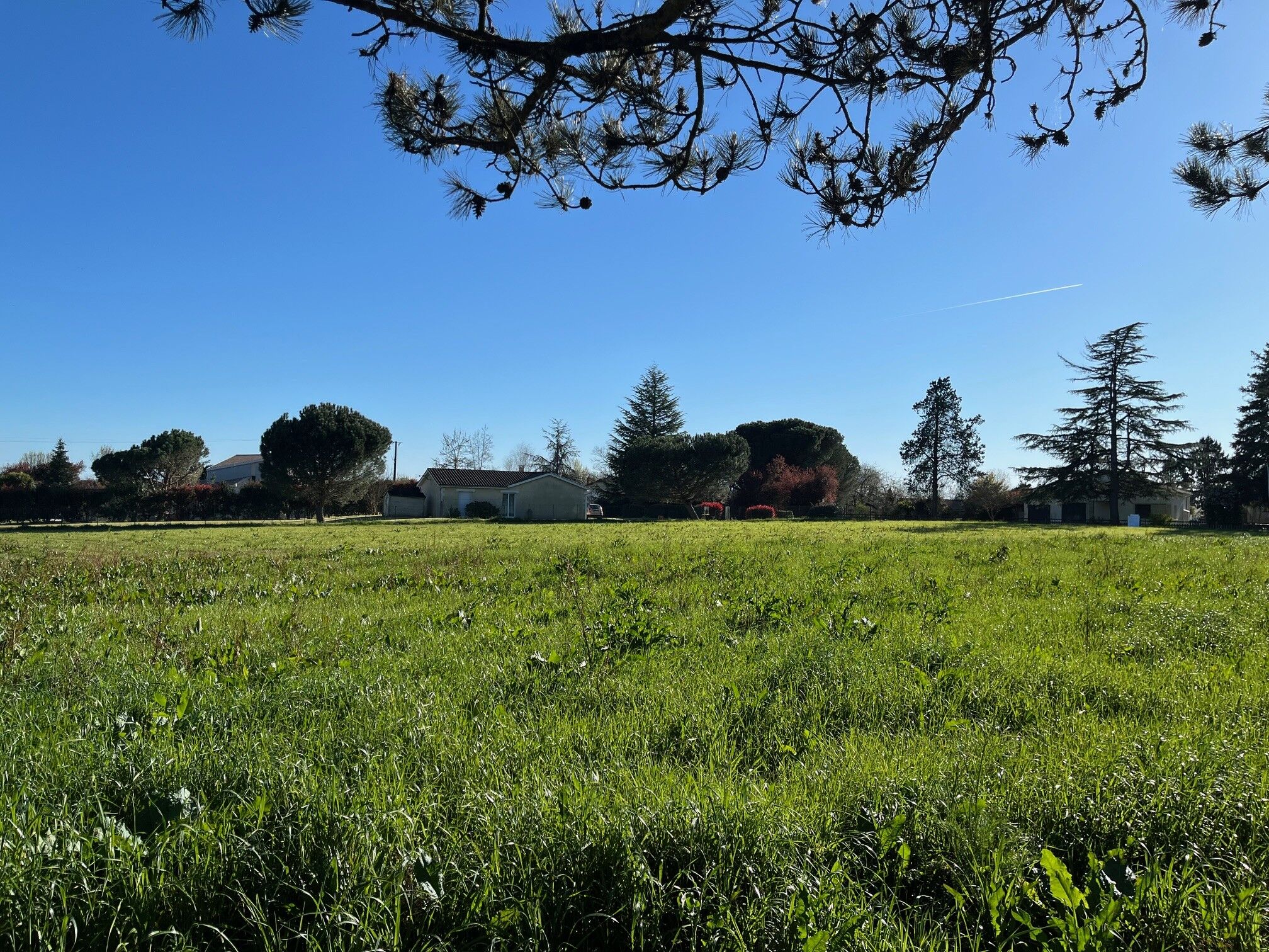 Agence immobilière de Les maisons Aura de Bergerac