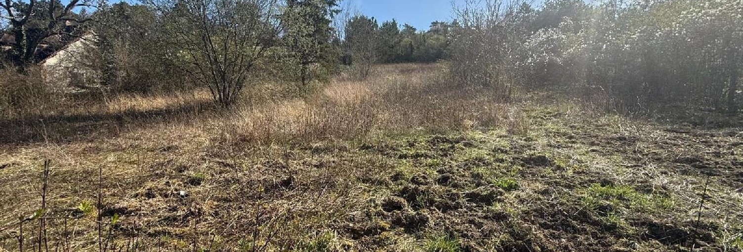 Terrain  1990 m² à vendre à Pont-sur-Yonne (89140)