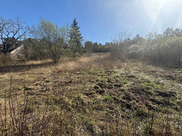 Terrain — photo 1