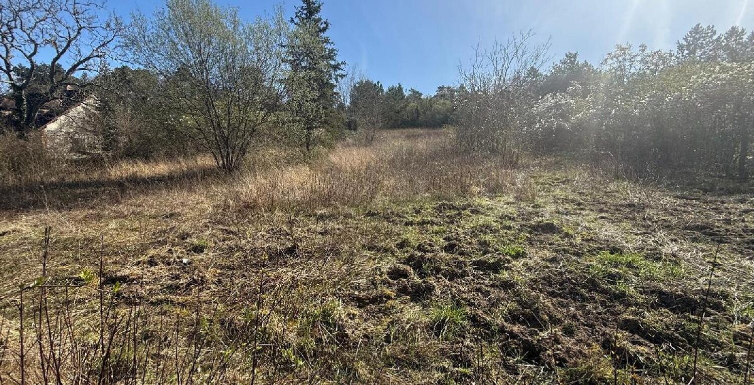 Terrain — photo 1