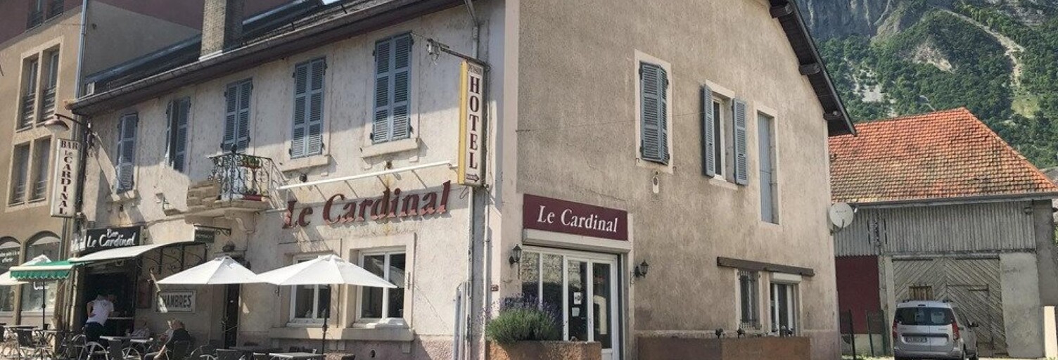 Commerce 15 Pièces 330 m² à vendre à Culoz-Béon (01150)