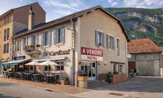 Commerce 15 Pièces 330 m² à vendre à Culoz-Béon (01150)