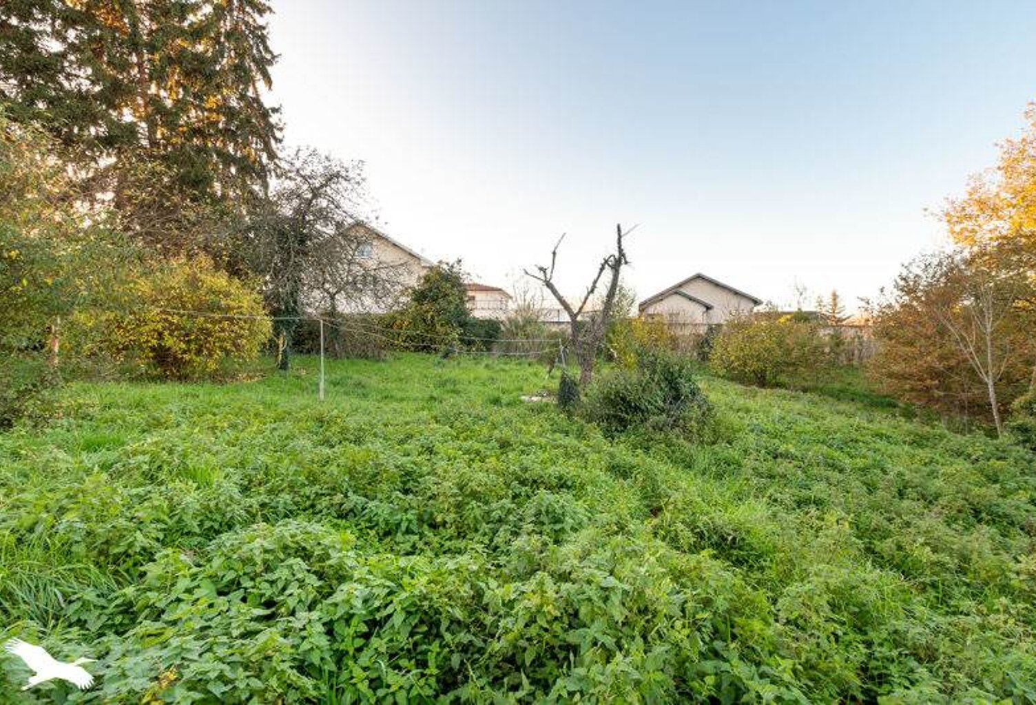 Terrain à bâtir de 0 pièces principales — photo 1