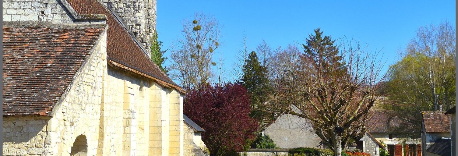 Maison 10 Pièces 265 m² à vendre à Marcé-sur-Esves (37160)