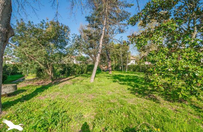 Vente maison 6 pièces 198 m² Saint-Alban (31140) — photo 3