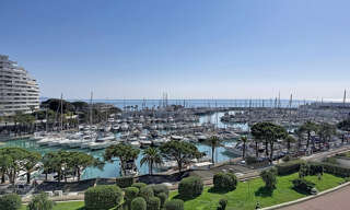 Appartement 1 Pièce 33 m² à vendre à Villeneuve-Loubet (06270)