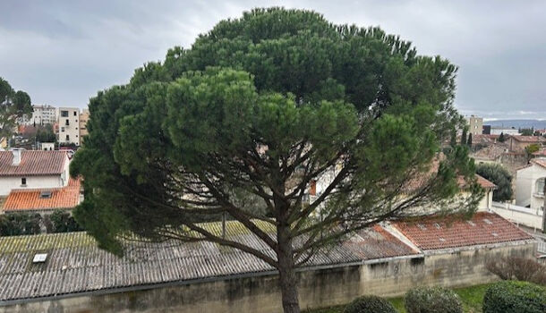 Appartement 3 pièces  à louer Montélimar 26200