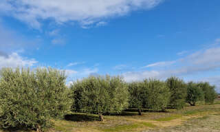 Terrain  4890 m² à vendre à Combas (30250)