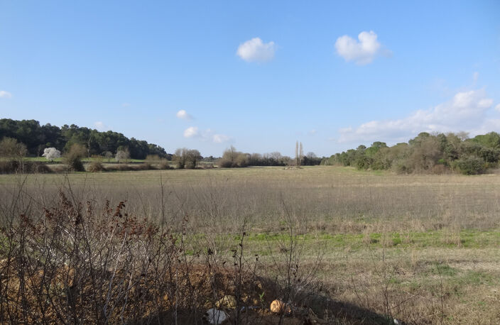 À VENDRE- VILLA NEUVE DE PLAIN PIED AVEC PISCINE- AUJARGUES — photo 3