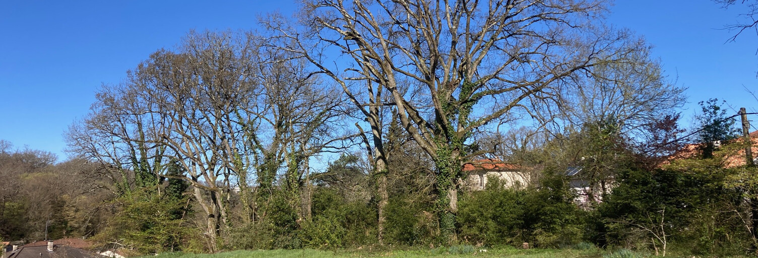 Terrain  701 m² à vendre à Saint-Benoît (86280)