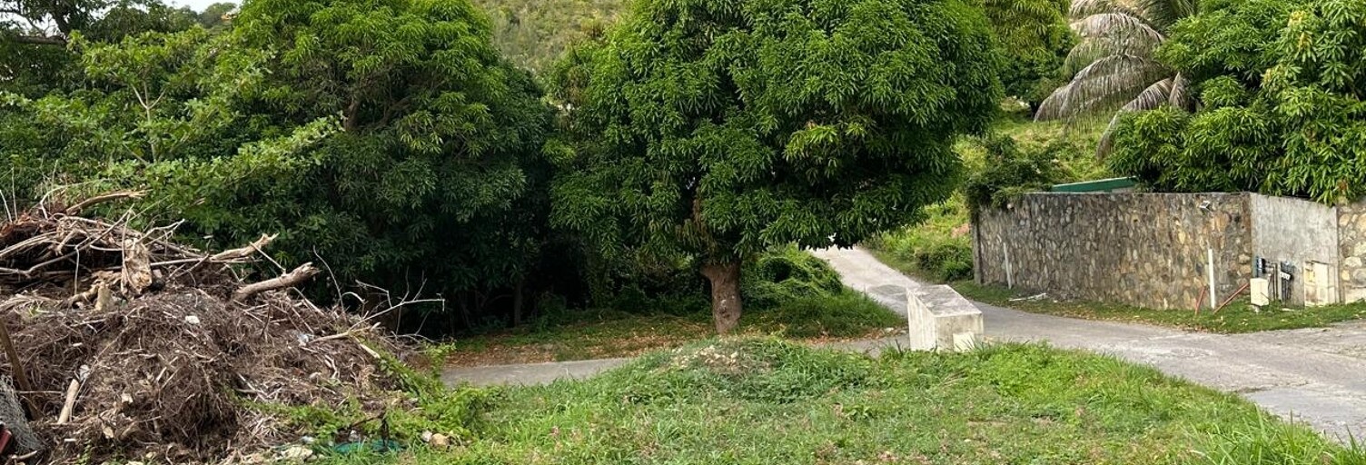 Terrain  2000 m² à vendre à Saint-Martin (65360)