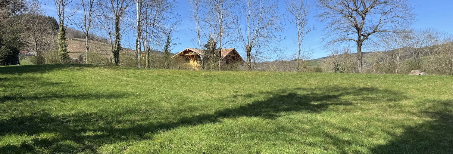 Terrain  4200 m² à vendre à Les Ardillats (69430)