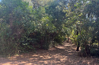 Terrain  265000 €