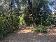 Terrain à bâtir - plat - 556m2 — photo 2