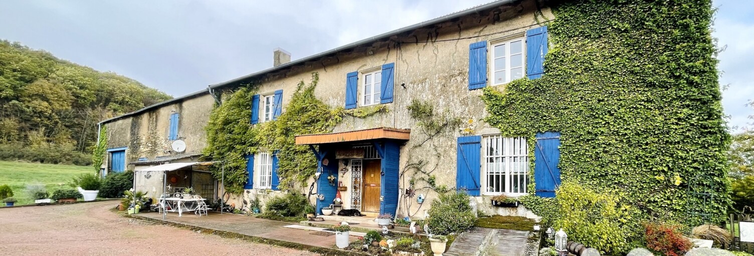 Maison 18 Pièces 872 m² à vendre à Arraincourt (57380)