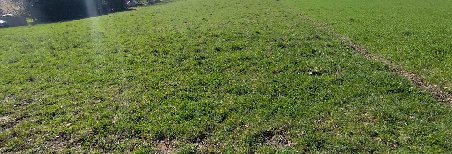 Terrain  3155 m² à vendre à Saint-Jean-Soleymieux (42560)