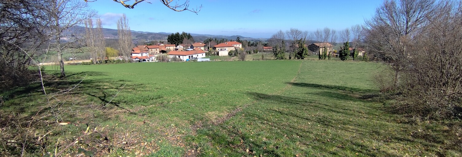 Terrain  3155 m² à vendre à Saint-Jean-Soleymieux (42560)
