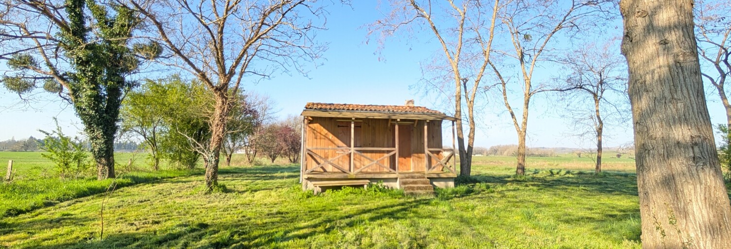 Terrain  4350 m² à vendre à Mazerolles (86320)