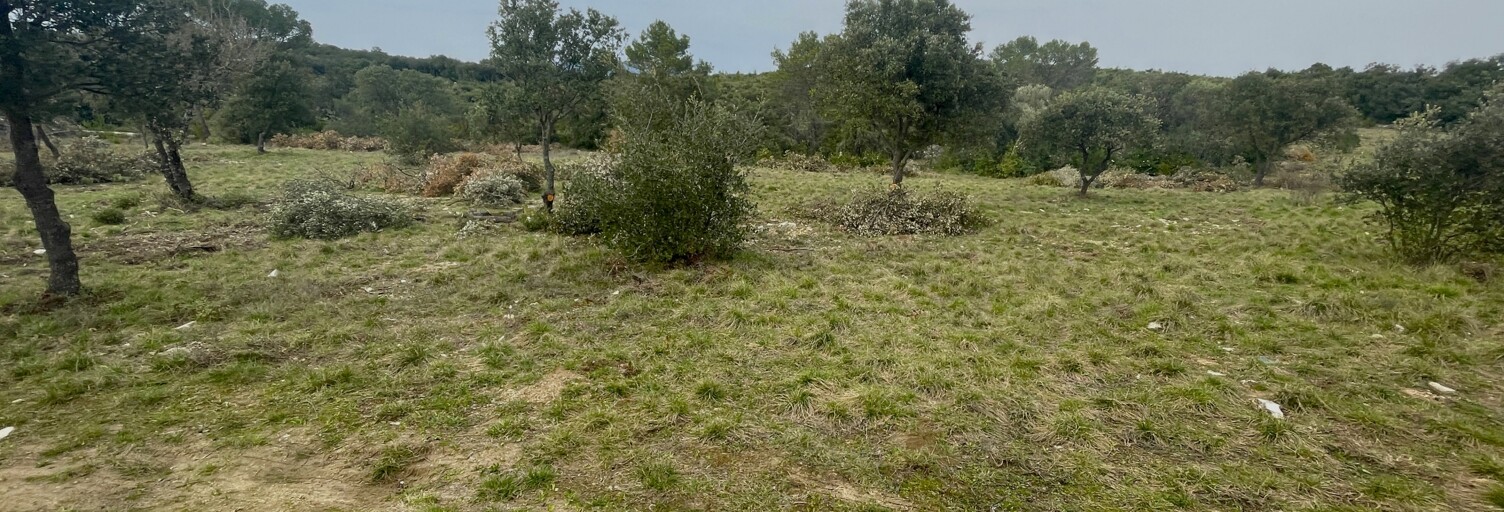 Terrain  8985 m² à vendre à Aigaliers (30700)