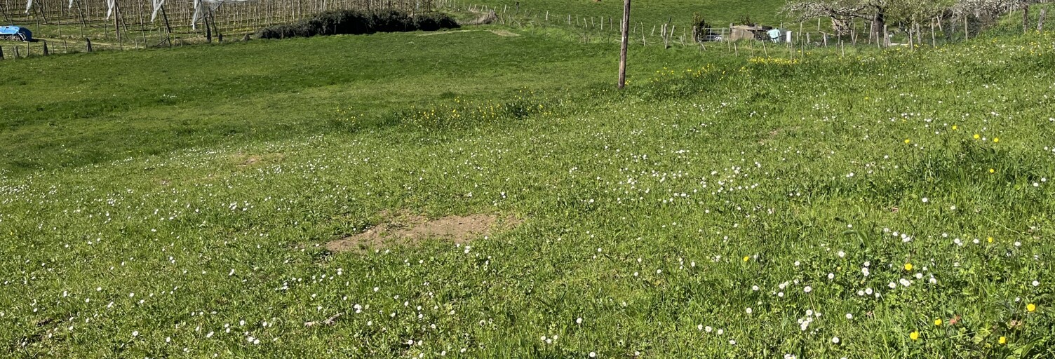 Terrain  5040 m² à vendre à Allassac (19240)
